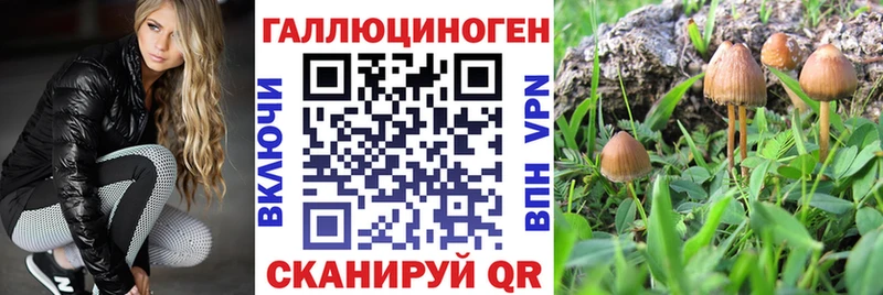 Купить  Донецк  Псилоцибиновые грибы прущие грибы 