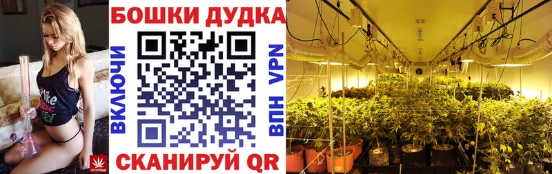 Купить закладки  Донецк  Канабис сатива 